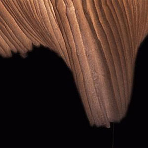 ingo_maurer_samurai_mamonouchies_stehleuchte_detail_2.jpg