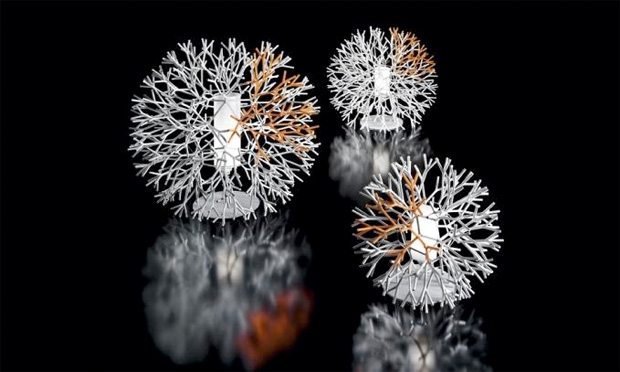 pallucco_coral_tisch_1.jpg