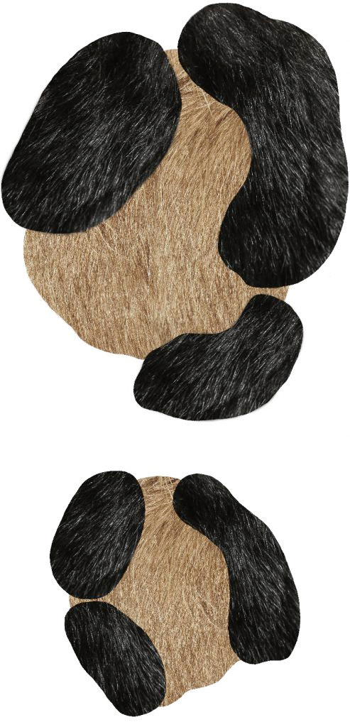 Bearded Leoprad